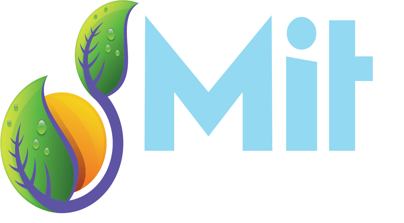 MIT Therapy